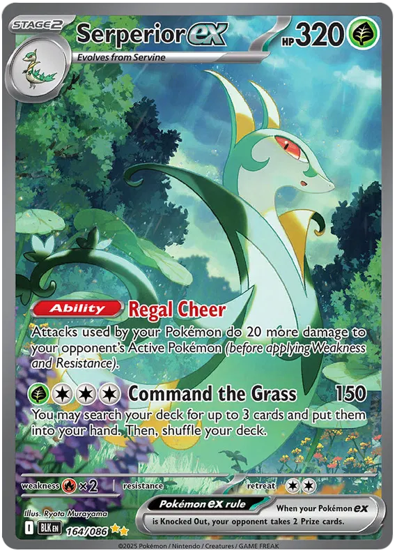 Carta Pokémon 17